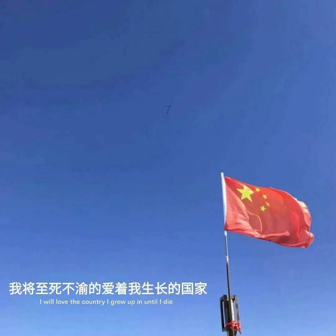 小猫钓鱼游戏龙王版有船